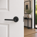 Taymor Pace Line Round Lever.png