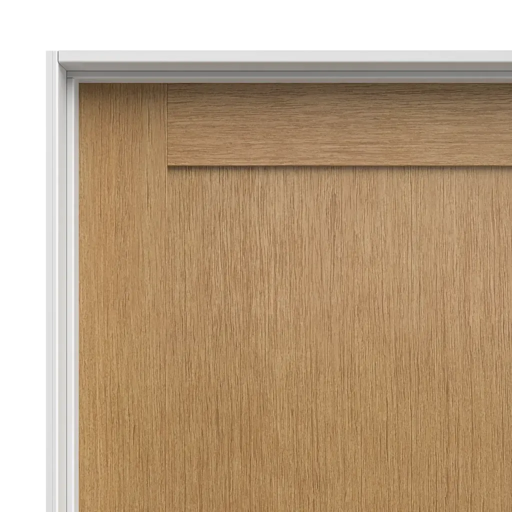 Stazz 3 Panel Shaker Door.webp