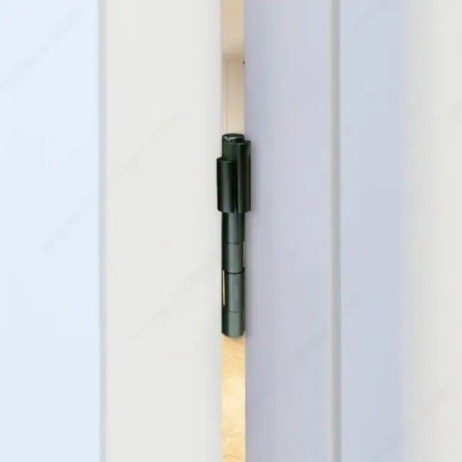 Suite Entry Hinge Stopper (Matte Black C-19).webp