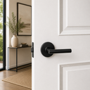 Taymor Bergen Lever-Matte Black