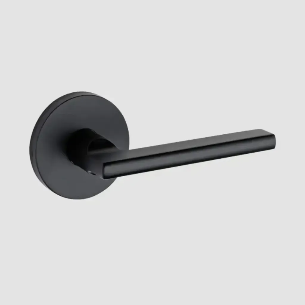 Taymor Pace Line Round Lever (Matte Black C-19, Dummy)
